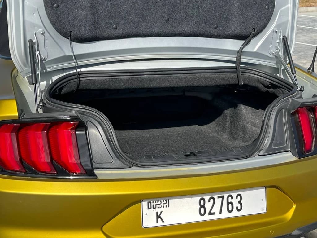 Ford Mustang 2022 Gold trunk interior