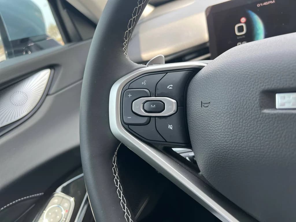 Haval H6 2024 Light Blue steering wheel