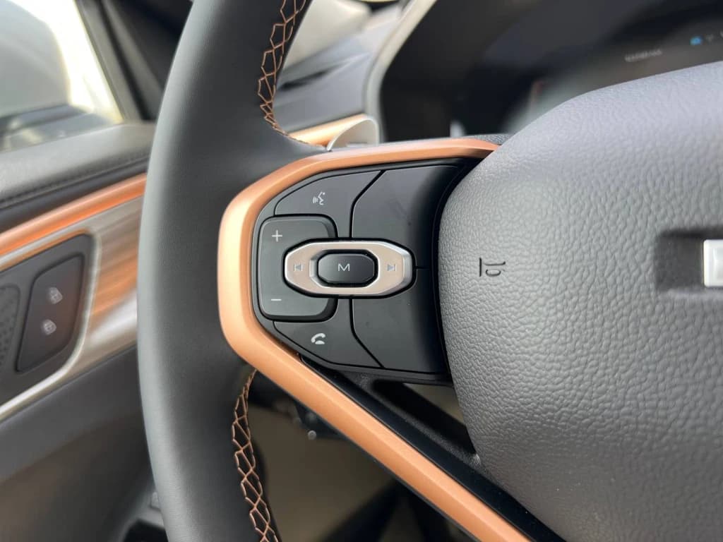 Haval Jolion 2024 Gray steering wheel