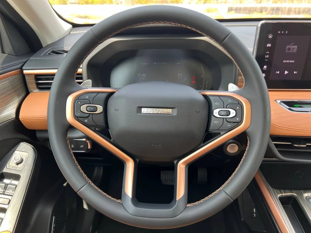 Haval Jolion 2024 Gray steering wheel