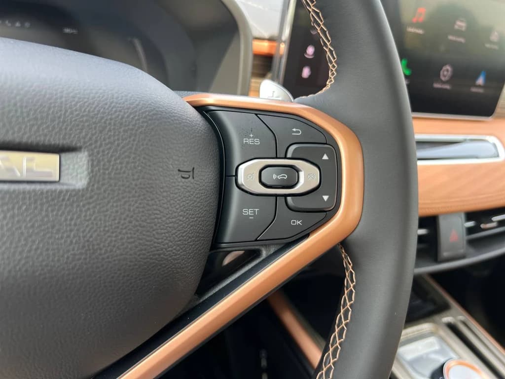 Haval Jolion 2024 Gray steering wheel