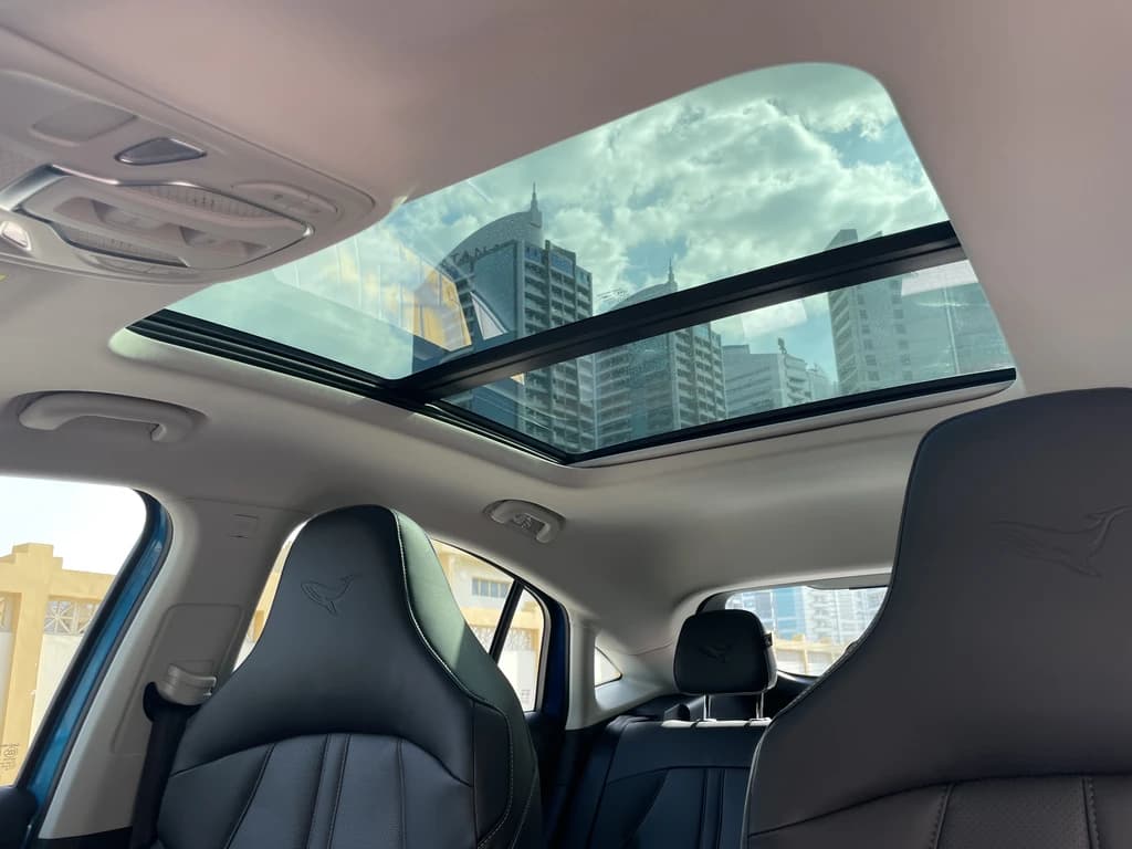 MG Whale 2024 Blue sunroof