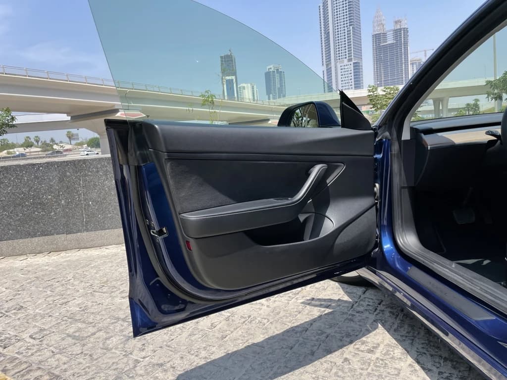 Tesla Model 3 2021 Blue door panel