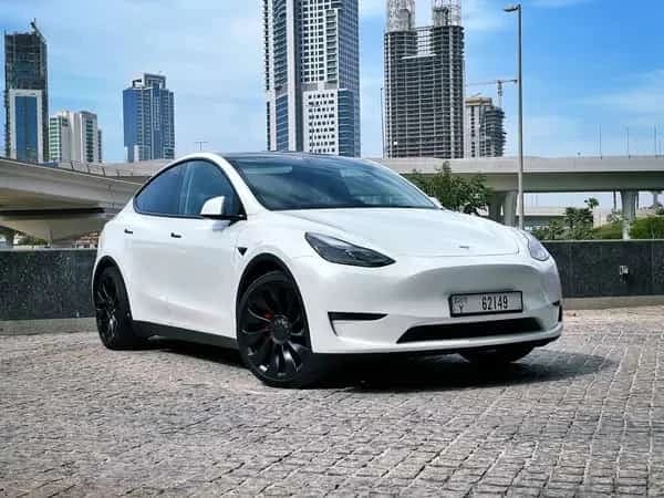 Tesla Model Y Performance