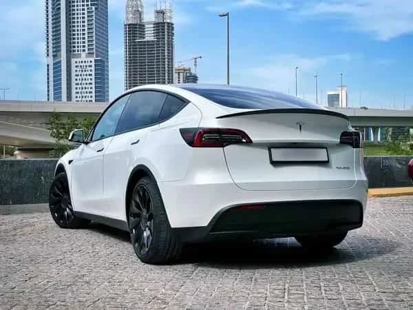 Tesla Model Y Performance 2022 White rear side