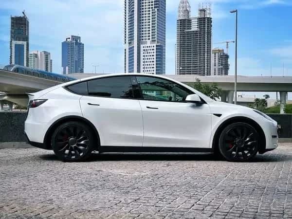 Tesla Model Y Performance 2022 White side right